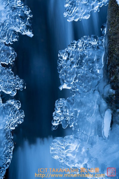 ../Images/7R251207 (175).jpg